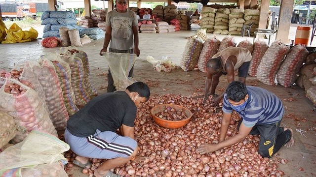 ২ রুপিতে বিক্রি হচ্ছে পেঁয়াজ, বিপর্যস্ত রপ্তানিকারকরা