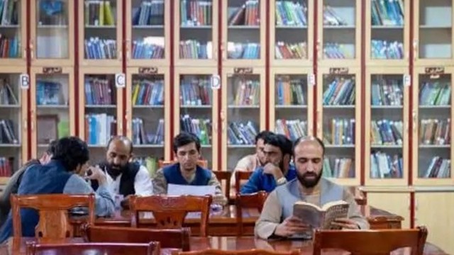 ফাইল ছবি