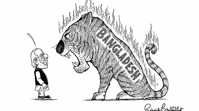 ডনের কার্টুনে বদলে যাওয়া সমীকরণ, বাংলাদেশ–ভারত সম্পর্ক নিয়ে নতুন ইঙ্গিত