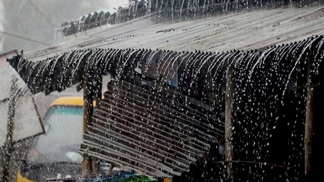 ছবি :  সংগৃহীত