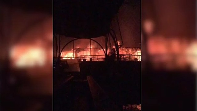 কি ঘটেছিলো সেদিন ভারতের নাইটক্লাবে?