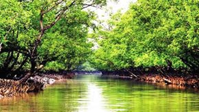 ফাইল ছবি