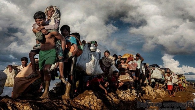 ফাইল ছবি