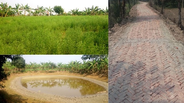 ফাইল ছবি